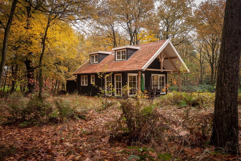 Bos en Heide, Hezingen, The Netherlands
