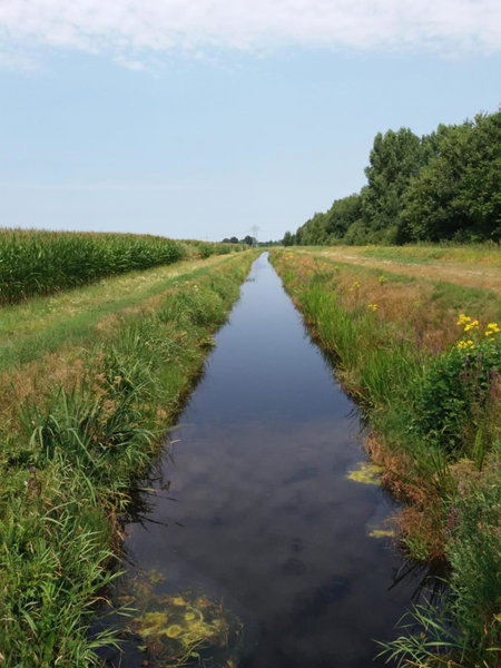 Het Torentje van Trips, Tripscompagnie, The Netherlands