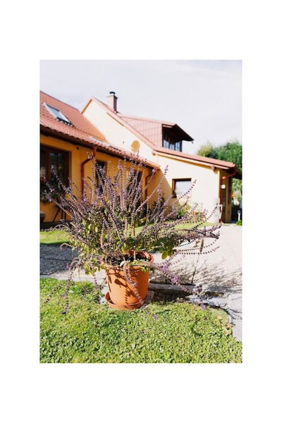 Apartmány U kapličky, Kamýk nad Vltavou, Czechia