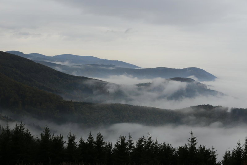 Chata Javorový Vrch, Tyra, Czechia