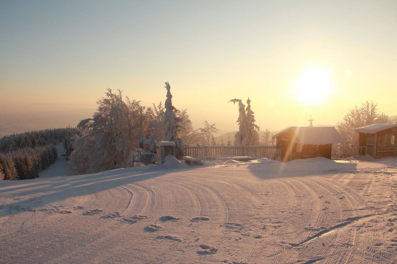 Chata Javorový Vrch, Tyra, Czechia