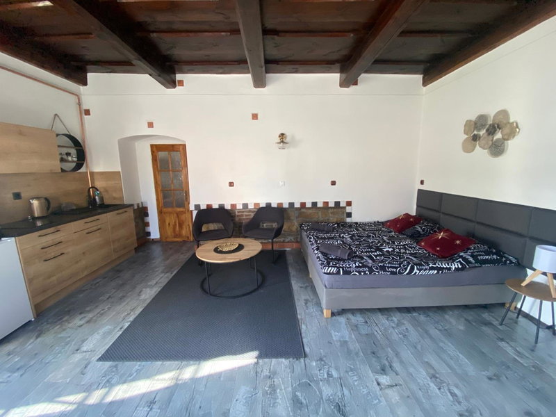 Vila Lucia - Apartmán 2, Plzeň, Czechia