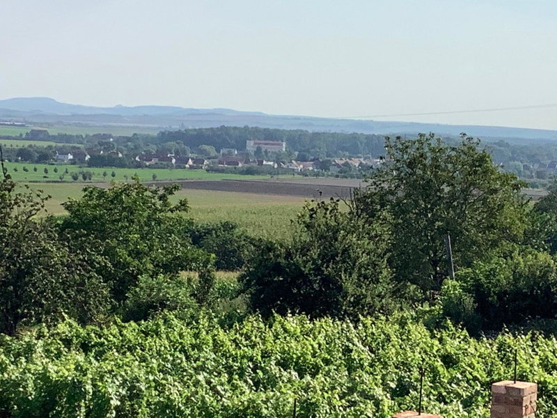 Vinný sklep u Křížů, Milotice, Czechia