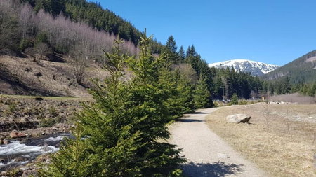 Ubytování v soukromí - MERAN, Svoboda nad Úpou, Czechia