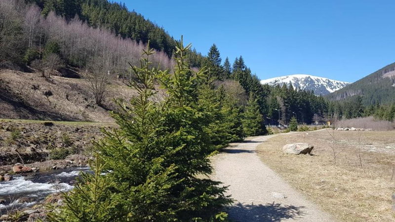 Ubytování v soukromí - MERAN, Svoboda nad Úpou, Czechia