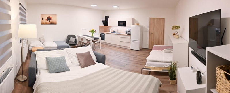 Apartmán Mija, Frymburk, Czechia