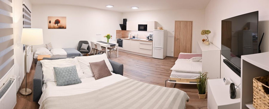 Apartmán Mija, Frymburk, Czechia