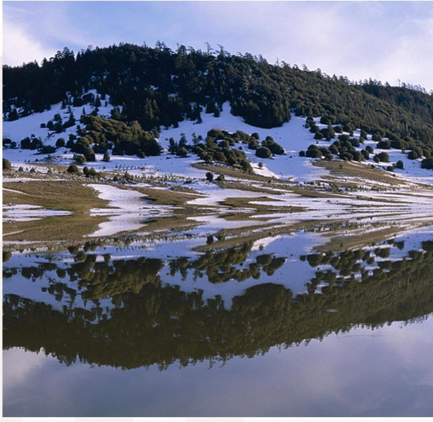 Ifrane Chalet, Ifrane, Morocco