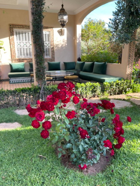Villa du Cedre, Marrakech, Morocco
