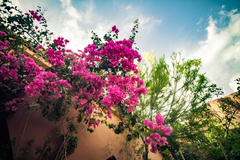 La Terrasse des Delices, Ouarzazate, Morocco