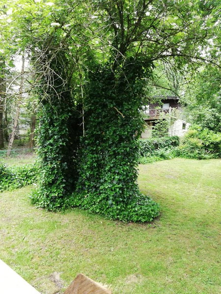Titi's Chalet, Durbuy, Belgium