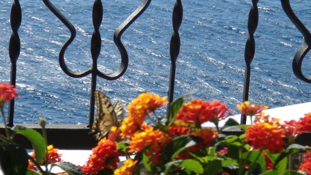 Villa Arca Adriatica, Sveti Juraj, Croatia