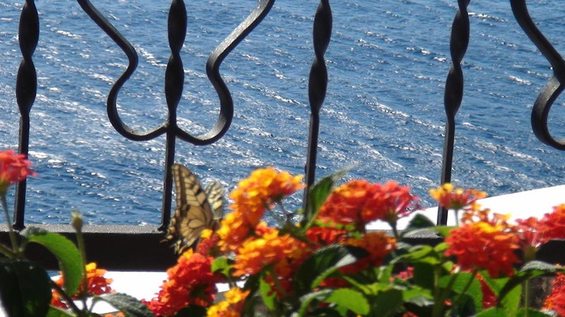 Villa Arca Adriatica, Sveti Juraj, Croatia