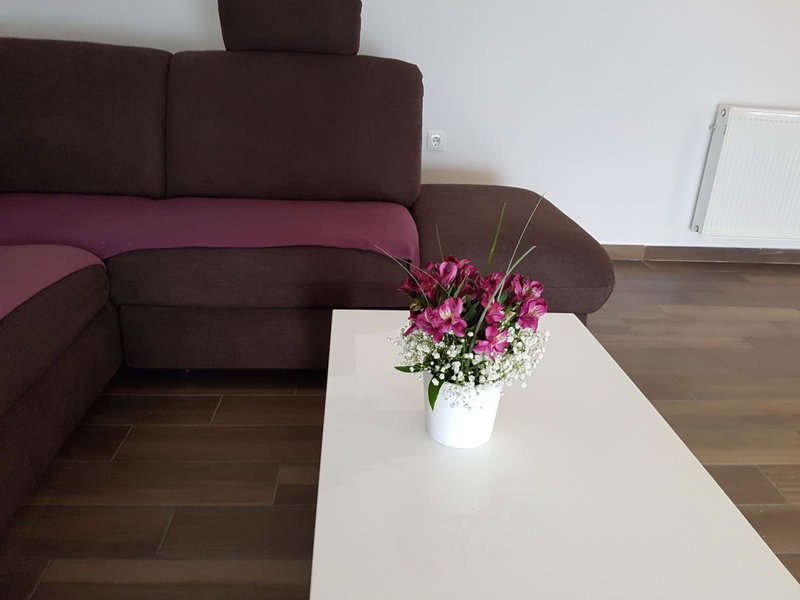Apartments Tereza, Senj, Croatia