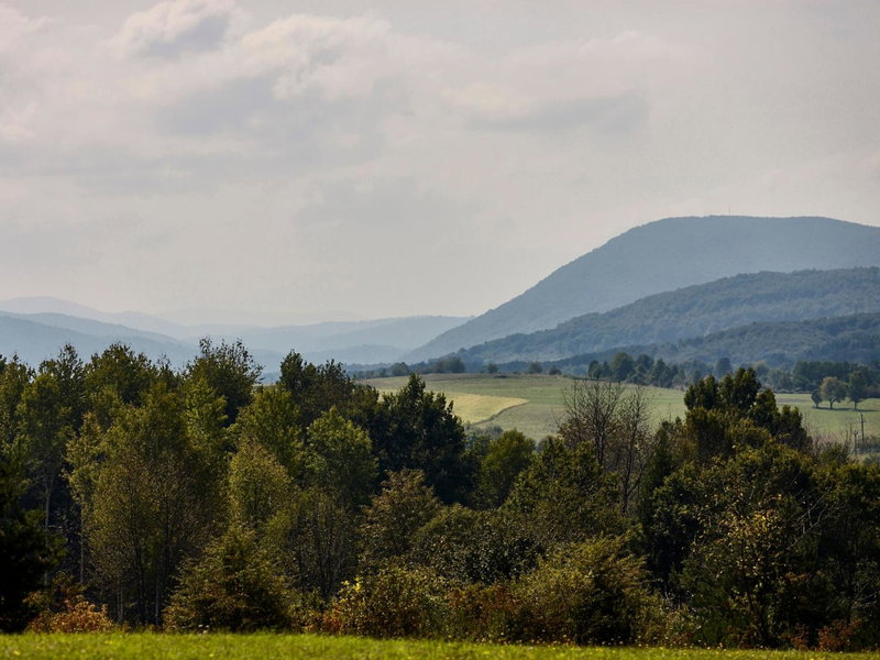 Holiday Homes Vita Natura, Rakovica, Croatia