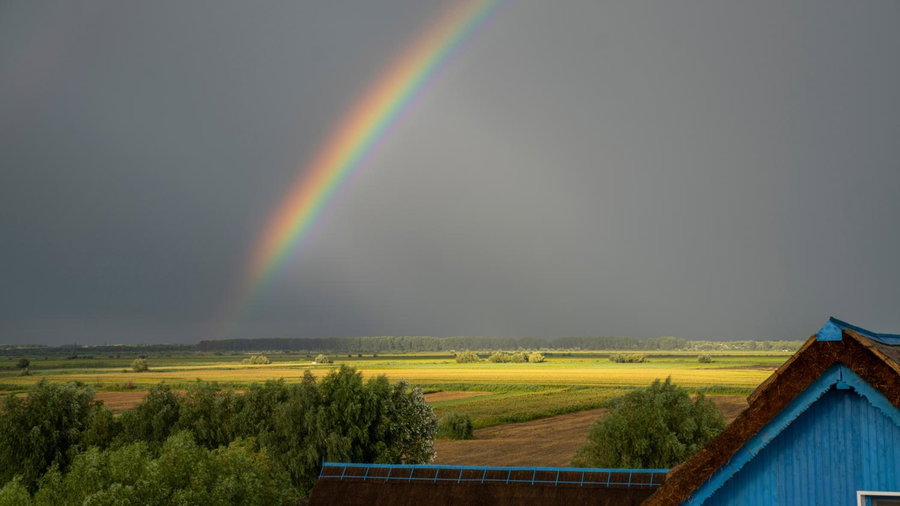 Nena Art Resort, Dunavăţu de Jos, Romania