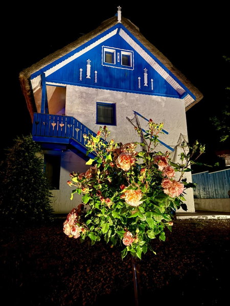 Nena Art Resort, Dunavăţu de Jos, Romania