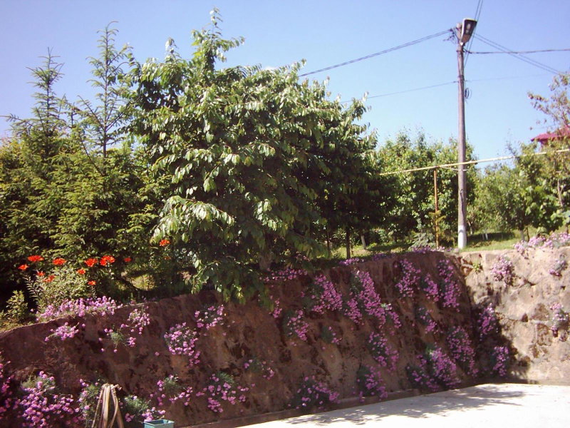 Pension Garofita, Iaşi, Romania