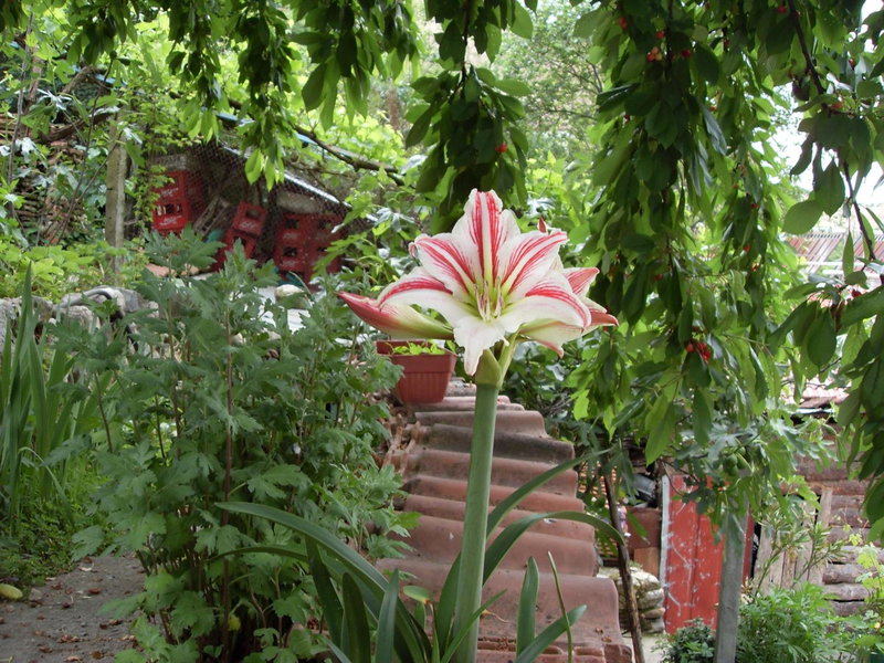 Guest House Rimski Most, Melnik, Bulgaria