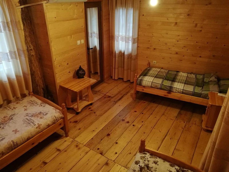 Tree House, Sofia, Bulgaria