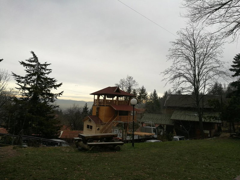 Tree House, Sofia, Bulgaria
