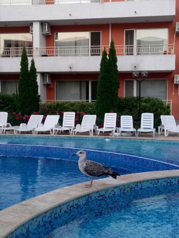 Nessebar Fort Club Apartment 226, Sunny Beach, Bulgaria