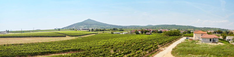 Panorama Apartmanok, Villány, Hungary