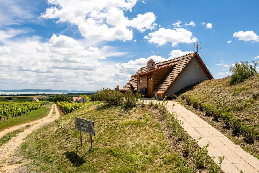 Tagyon Birtok Kései szüret Apartmanház, Tagyon, Hungary