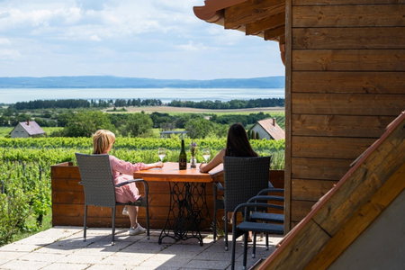 Tagyon Birtok Kései szüret Apartmanház, Tagyon, Hungary