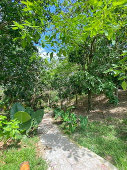 Hotel La Casablanca Tayrona, Santa Marta, Colombia
