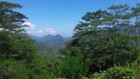 Handunkanda Nature Escape, Ayagama, Sri Lanka