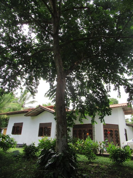 Kalindu Residence, Tangalle, Sri Lanka