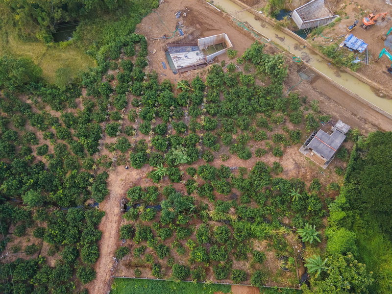 Mango Tree Retreat, Galewela, Sri Lanka