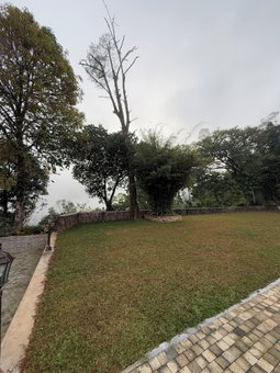 Watawala Tea Plantation Bungalow, Watawala, Sri Lanka