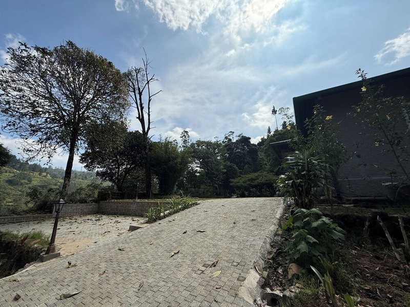 Watawala Tea Plantation Bungalow, Watawala, Sri Lanka
