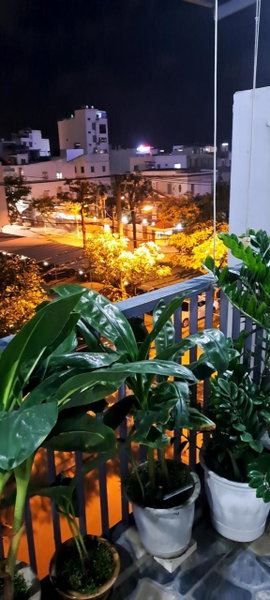Kidona's House, Da Nang, Vietnam