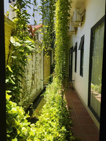 Nemo Homestay, Hue, Vietnam