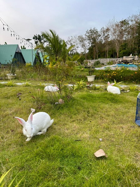 Lucky Star Resort, Xuyên Mộc, Vietnam