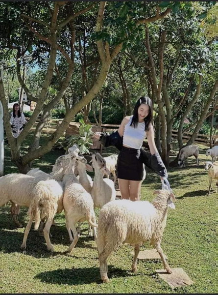 Lucky Star Resort, Xuyên Mộc, Vietnam