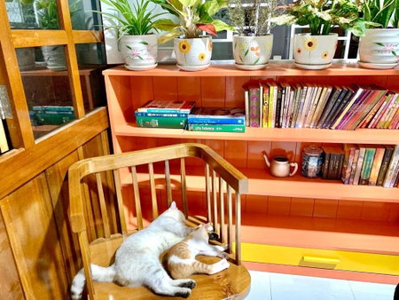 Moonbeam Homestay & Mini-resort Mui Ne, Mui Ne, Vietnam