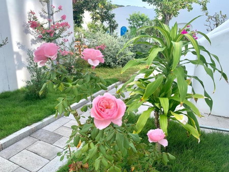 Moonbeam Homestay & Mini-resort Mui Ne, Mui Ne, Vietnam