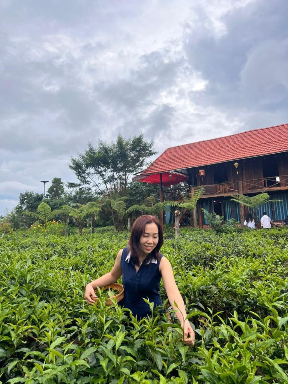 Hotel · Tea Garden House, Xã Tân Phát
