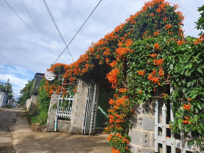 Tea Garden House, Xã Tân Phát, Vietnam