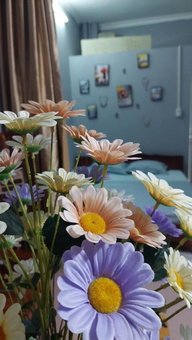 alley homestay_Liễu Giai, Hanoi, Vietnam