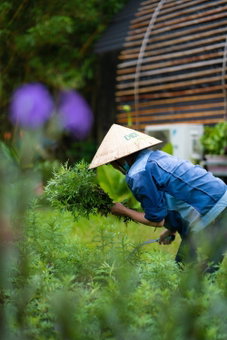 Chay Lap Farmstay Phong Nha, Ðá Lòn, Vietnam
