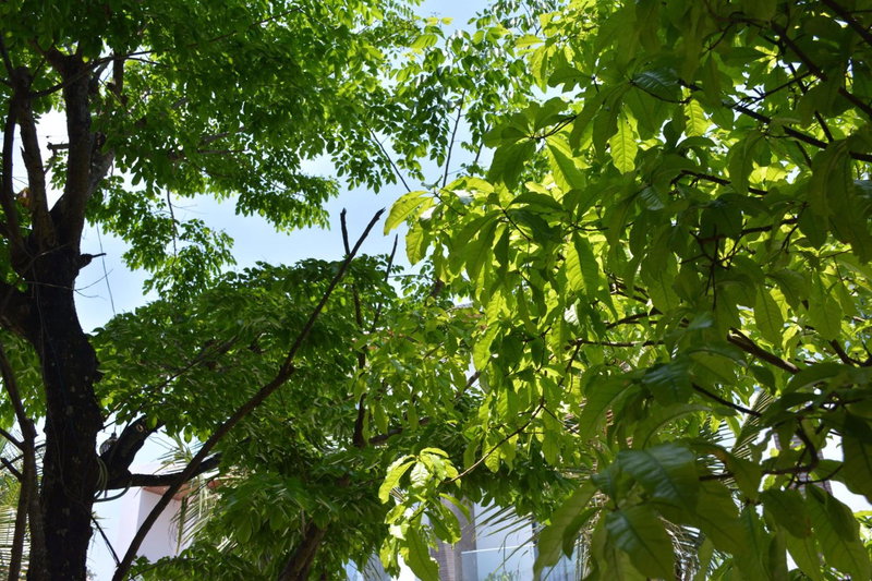 Hoi An Reverie Villas, Hoi An, Vietnam