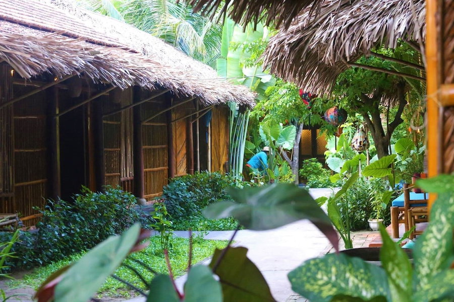 Under the coconut tree - Hostel, Hoi An, Vietnam