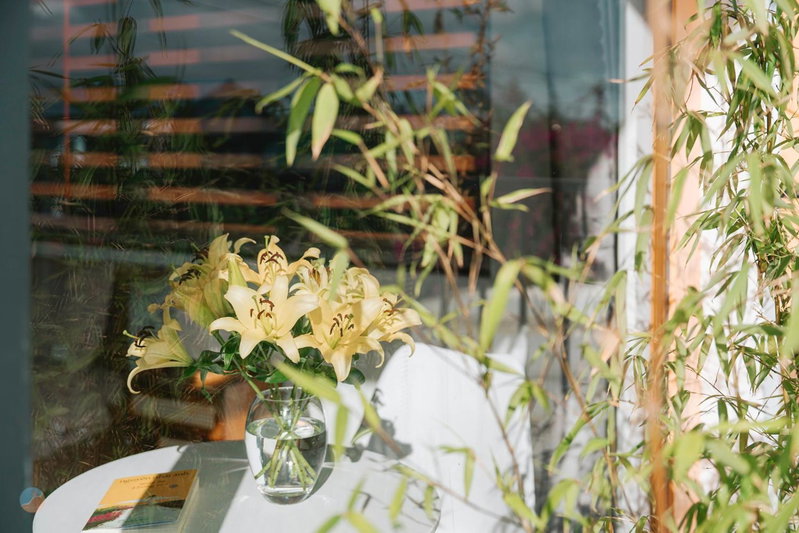 Miền Sương Khói Homestay Đà Lạt, Da Lat, Vietnam