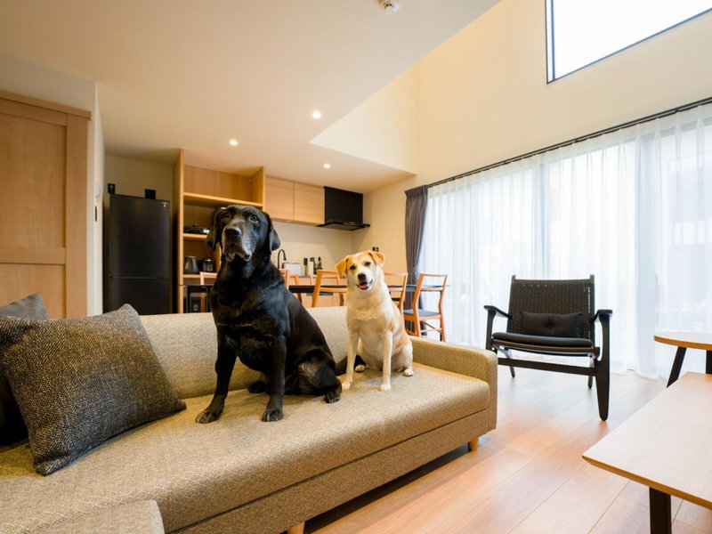 Rakuten STAY VILLA Kamogawa Building D with Terrace and sauna Capacity of 10 persons Pets allowed, Kamogawa, Japan