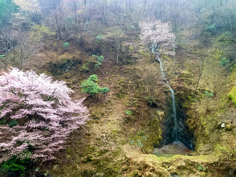 Hotel Nosegawa, Nosegawa, Japan